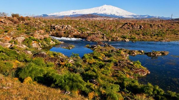 Парк Неброди