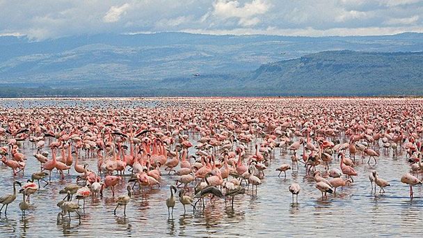 Как называется озеро в казахстане. Смотреть фото Как называется озеро в казахстане. Смотреть картинку Как называется озеро в казахстане. Картинка про Как называется озеро в казахстане. Фото Как называется озеро в казахстане Как называется озеро в казахстане. Смотреть фото Как называется озеро в казахстане. Смотреть картинку Как называется озеро в казахстане. Картинка про Как называется озеро в казахстане. Фото Как называется озеро в казахстане