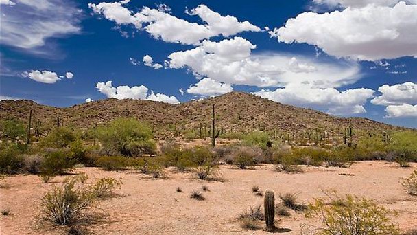 Как называется пустыня в сша. Смотреть фото Как называется пустыня в сша. Смотреть картинку Как называется пустыня в сша. Картинка про Как называется пустыня в сша. Фото Как называется пустыня в сша Как называется пустыня в сша. Смотреть фото Как называется пустыня в сша. Смотреть картинку Как называется пустыня в сша. Картинка про Как называется пустыня в сша. Фото Как называется пустыня в сша