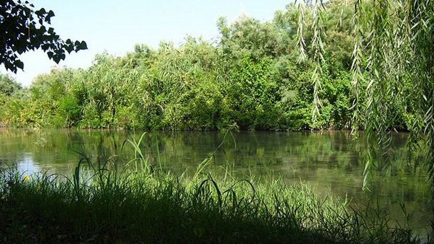 Ширванский национальный парк в Баку Ширванский национальный парк в Баку