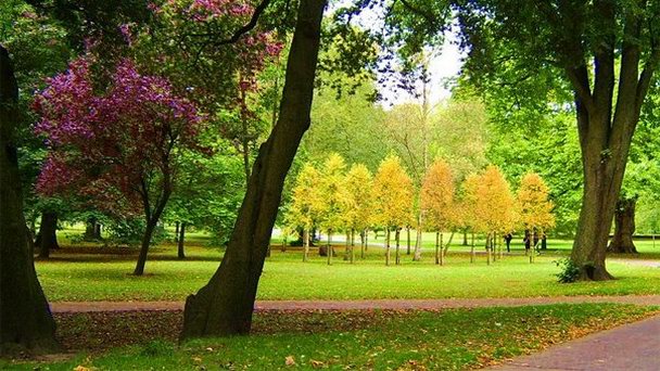 Парк Бьют в Уэльсе Парк Бьют в Уэльсе