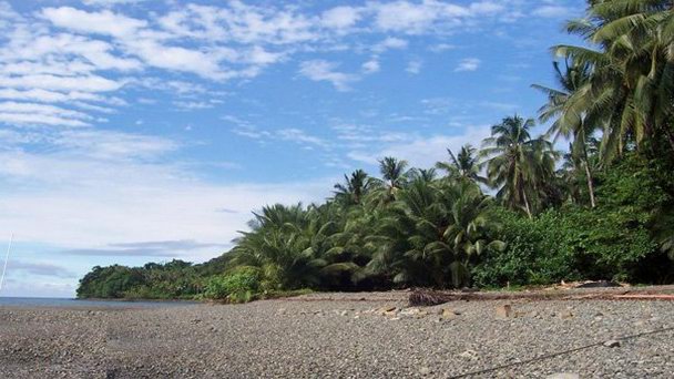 Национальный парк Исла Горгона в Кали Национальный парк Исла Горгона в Кали