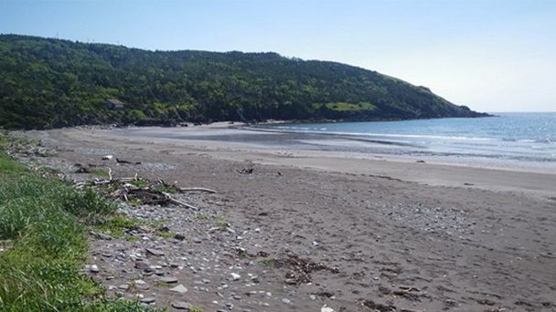 Залив Святого Лаврентия Залив Святого Лаврентия