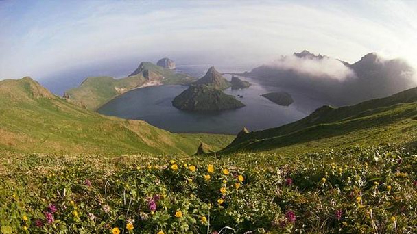 Остров Янкича Остров Янкича