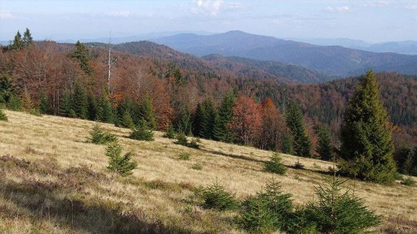 Национальный парк Горчанский в Кракове Национальный парк Горчанский в Кракове