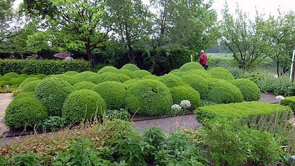 Сады Аппельтерна в Амстердаме Сады Аппельтерна в Амстердаме