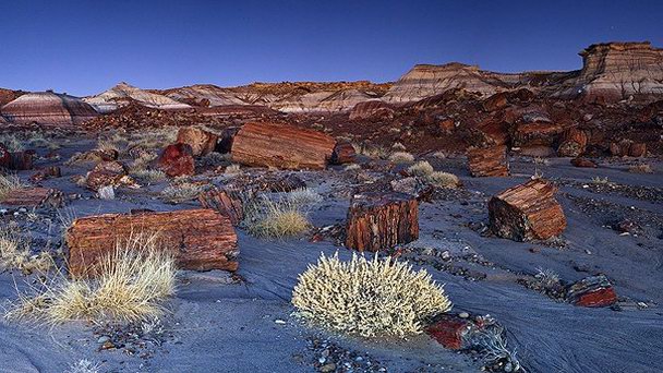 Окаменелый лес в Аризоне Окаменелый лес в Аризоне