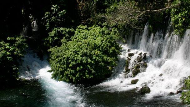 Парк отдыха Nace El Rio в Веракрусе Парк отдыха Nace El Rio в Веракрусе