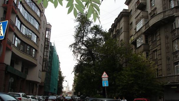 Старопименовский переулок Старопименовский переулок