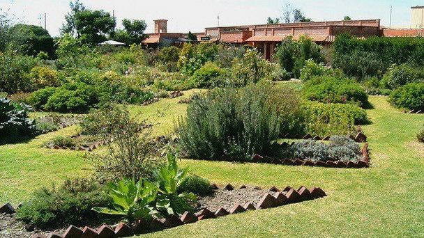 Этноботанический сад Франциско Пелаэса в Пуэбле Этноботанический сад Франциско Пелаэса в Пуэбле