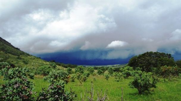 Национальный Парк Ньика в Лилонгве Национальный Парк Ньика в Лилонгве