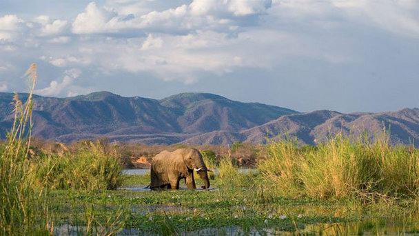 Национальный парк Ловер Замбези в Лусаке Национальный парк Ловер Замбези в Лусаке