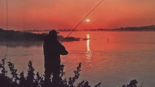 Водохранилище Чардаринское Водохранилище Чардаринское
