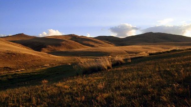 Национальный парк Хустай в Улан-Баторе Национальный парк Хустай в Улан-Баторе