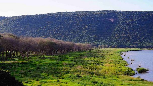 Национальный парк Самбу в Лусаке Национальный парк Самбу в Лусаке