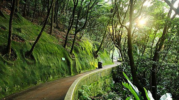 Восточный парк Сай Кунг в Гонконге Восточный парк Сай Кунг в Гонконге