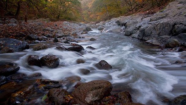 Гирканский национальный парк в Ленкорани Гирканский национальный парк в Ленкорани