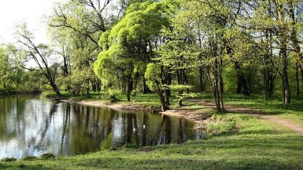 Елагин остров в Санкт-Петербурге Елагин остров в Санкт-Петербурге