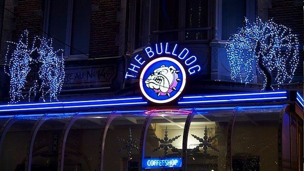 Кафе The Bulldog Coffeeshop в Амстердаме Кафе The Bulldog Coffeeshop в Амстердаме