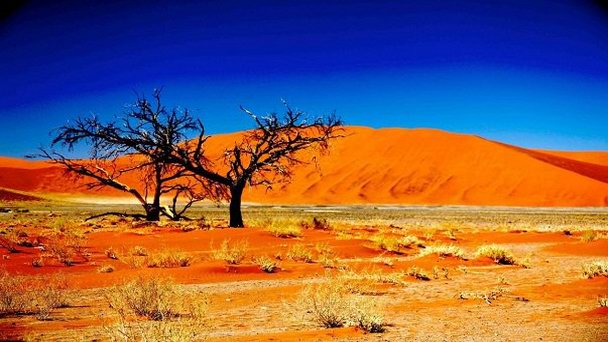 Национальный парк Намиб Науклуфт в Пустыне Намиб Национальный парк Намиб Науклуфт в Пустыне Намиб