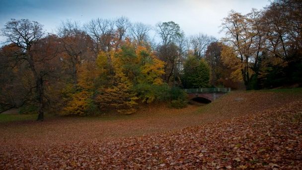 Английский парк Мюнхена Английский парк Мюнхена