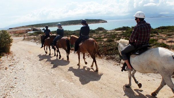 Центр верховой езды Коку Центр верховой езды Коку