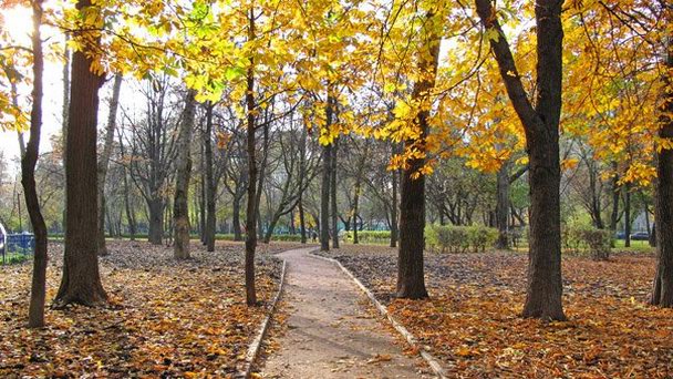 Перовский парк культуры и отдыха в Москве Перовский парк культуры и отдыха в Москве