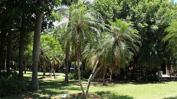 Парк Даань Парк Даань