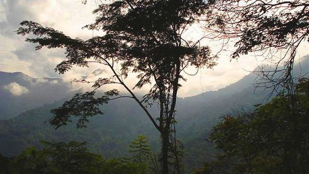 Национальный парк Генри Питера в Каракасе Национальный парк Генри Питера в Каракасе