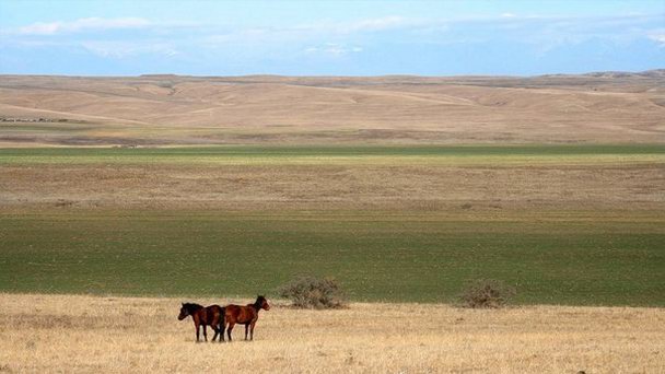 Национальный парк Вашловани в Гудаури Национальный парк Вашловани в Гудаури