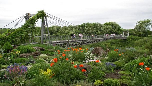 Криворожский ботанический сад Криворожский ботанический сад