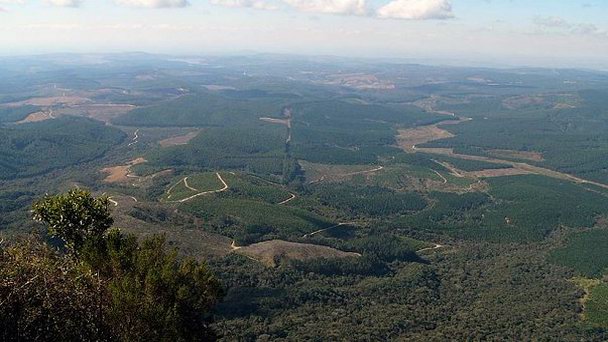 Обзорное место «Окно Бога» в Йоханнесбурге Обзорное место «Окно Бога» в Йоханнесбурге