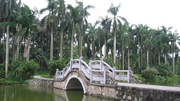 Южно-китайский ботанический сад в Гуанчжоу Южно-китайский ботанический сад в Гуанчжоу