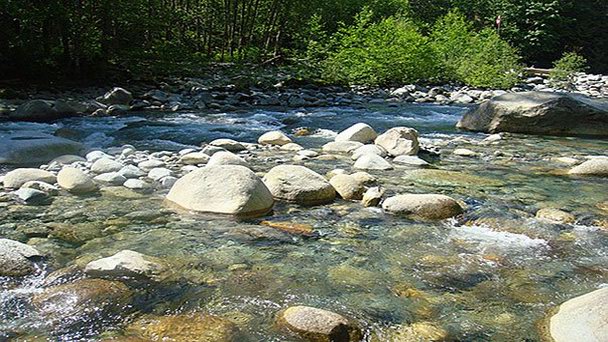 Национальный парк Lynn Canyon в Ванкувере Национальный парк Lynn Canyon в Ванкувере