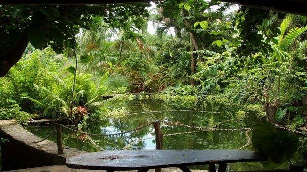 Ботанические сады Бэй-Гарденс на Гренаде Ботанические сады Бэй-Гарденс на Гренаде