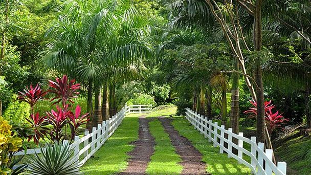 Ботанический сад «Jessamine Eden» на Гренаде Ботанический сад «Jessamine Eden» на Гренаде