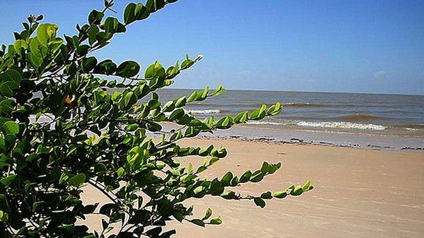 Пляж Араруна Пляж Араруна