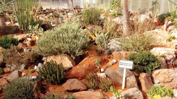 Юго-западный природный парк в Виндхуке Юго-западный природный парк в Виндхуке