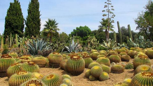 Тропический сад Пинья де Роса в Коста Брава Тропический сад Пинья де Роса в Коста Брава
