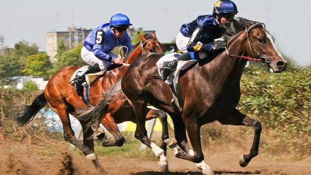 Ростовский ипподром Ростовский ипподром