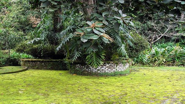 Сад «Уголок поэта» в Гвадалахаре Сад «Уголок поэта» в Гвадалахаре