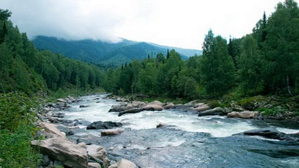 Река Тургень Река Тургень