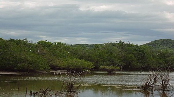 Национальный заповедник Estero Del Yugo в Акапулько Национальный заповедник Estero Del Yugo в Акапулько