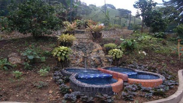 Природный заповедник Нирвана в Кали Природный заповедник Нирвана в Кали