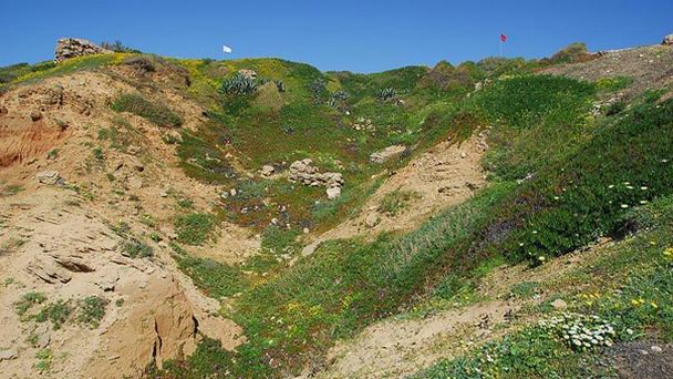 Национальный парк Арсуф в Герцлии Национальный парк Арсуф в Герцлии