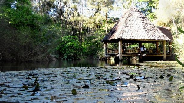 Парк Халлер в Момбасе Парк Халлер в Момбасе