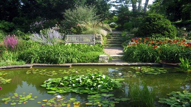 Сад Карла Форстера в Бранденбурге Сад Карла Форстера в Бранденбурге