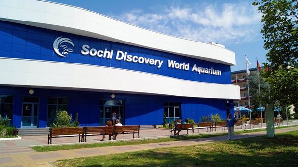 Океанариум Sochi Discovery World Aquarium в Сочи Океанариум Sochi Discovery World Aquarium в Сочи
