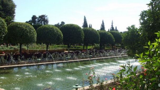 Сады Алькасара в Севильи Сады Алькасара в Севильи