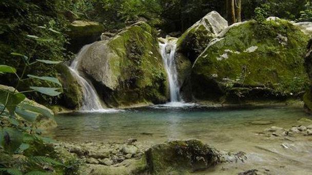 Парк Natural La Estanzuela в Нуэво-Леоне Парк Natural La Estanzuela в Нуэво-Леоне